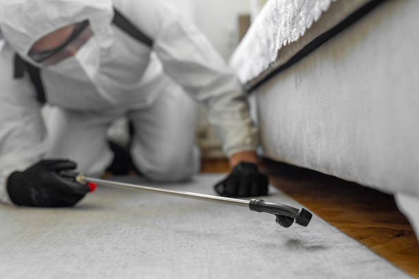 Professional Bed Bug Control technician working in Beach, ND